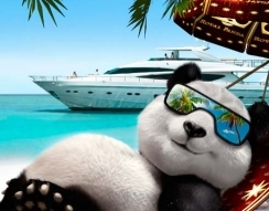 Po 8 tygodniach rywalizacji, Kasyno Royal Panda wysłało zwycięzce na Bahama
